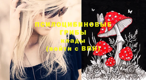прущая мука Михайловск