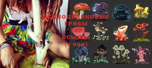 герыч Надым