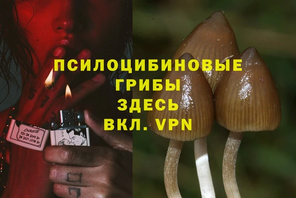 марки nbome Болотное