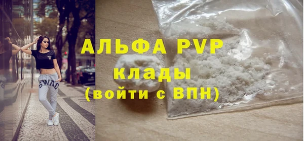 PSILOCYBIN Михайлов