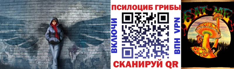 OMG ССЫЛКА  Нолинск  Галлюциногенные грибы прущие грибы 